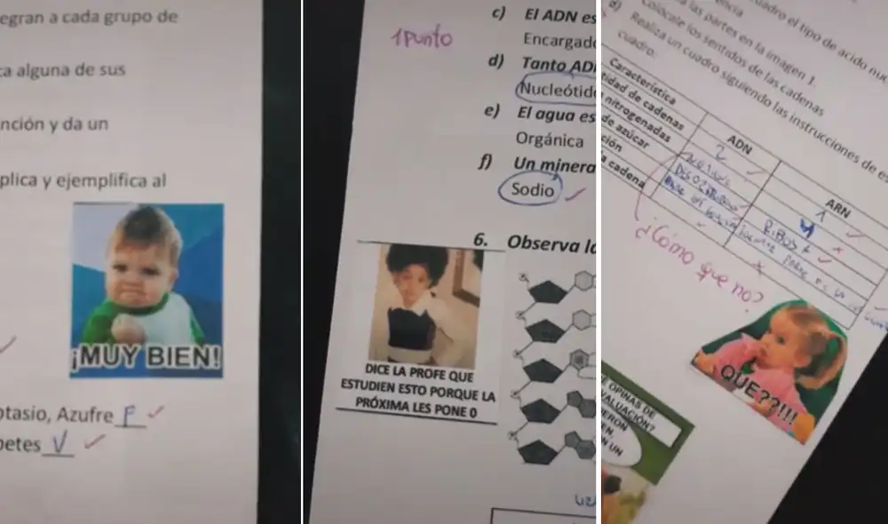 Corrigiendo pruebas de mis alumnos con memes, para más placer”, escribió la profesora en el video que ya ha conseguido más de 400.000 reproducciones.