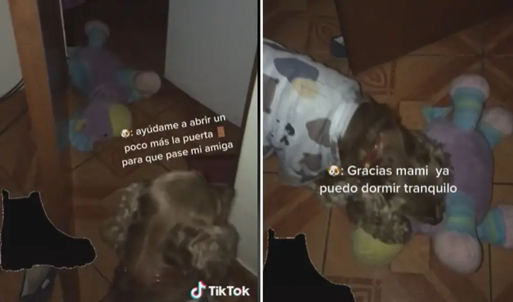 Miles de usuarios quedaron cautivados al ver la conducta del animal. Foto: captura de TikTok
