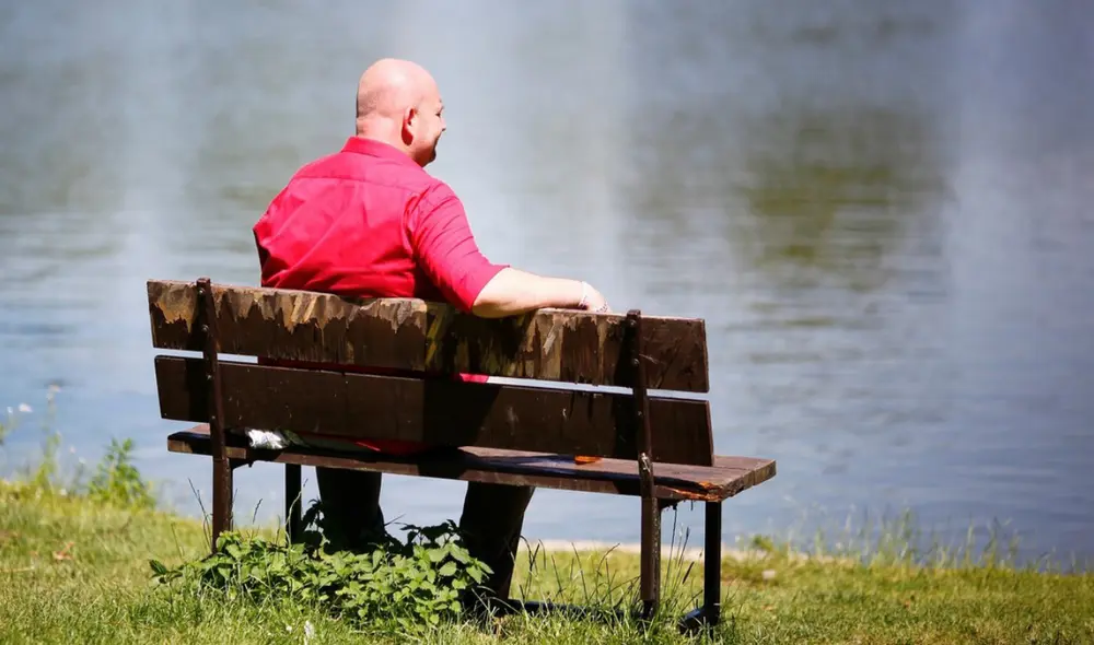 Las personas suelen perder de 50 a 100 hebras de cabello al día. Foto: Pixabay