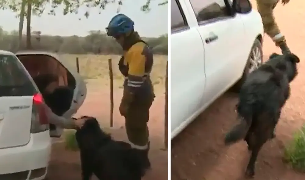 El perro llamado Kaiser protagonizó un desgarrador momento cuando sus dueños tuvieron que dejarlo. Foto: captura de Telefé