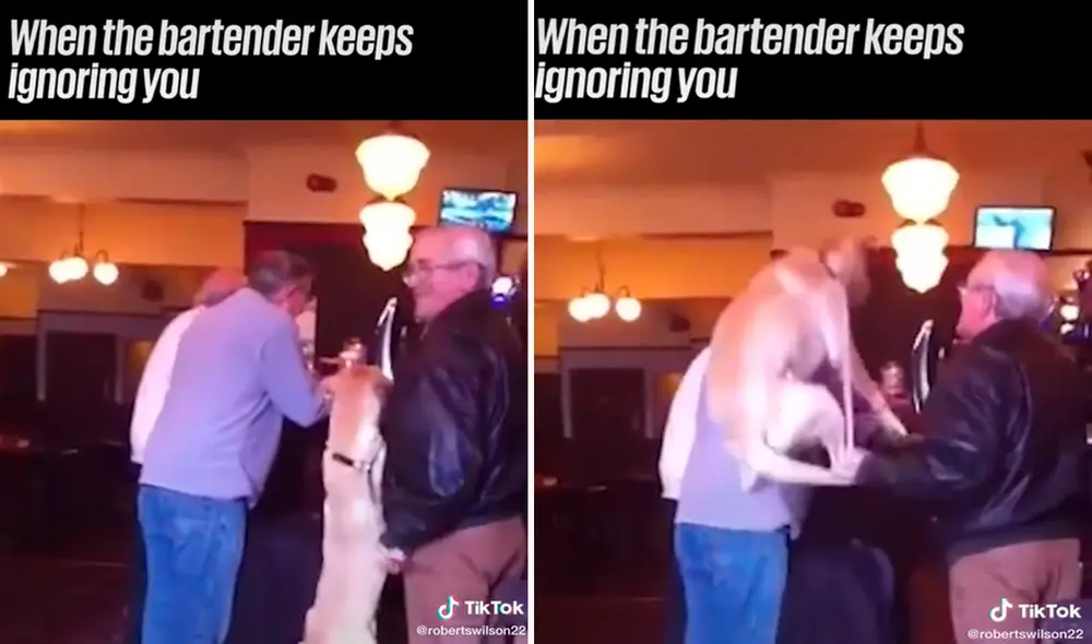 El perro no solo llamó la atención del barman, sino que también la de miles de usuarios en redes sociales. Foto: captura de TikTok