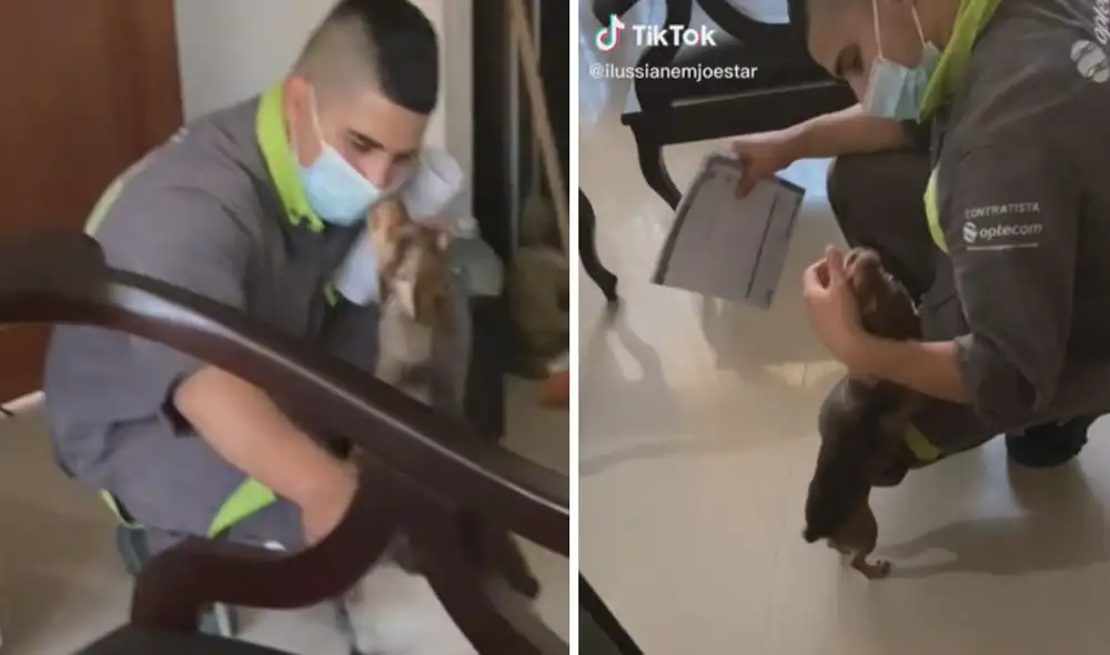 El trabajador no se pudo resistir ante la ternura de los cachorros y jugó con ellos en varias oportunidades. Foto: captura de TikTok