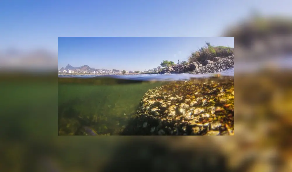 Basura sumergida en las aguas de la bahía de Guanabara en Río de Janeiro. Foto: EFE Basura sumergida en las aguas de la bahía de Guanabara en Río de Janeiro. Foto: EFE