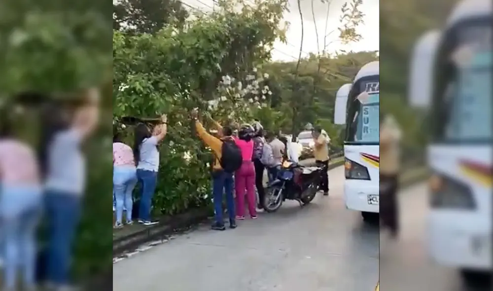 Personas ilusionadas se estacionaron cerca del hecho y recogieron emocionados los billetes. Fuente: captura de Twitter.