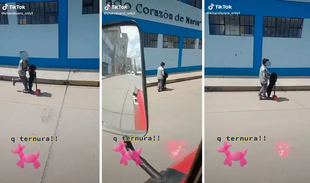 TikTok viral: niño enternece las redes al salir a pasear junto a su ...