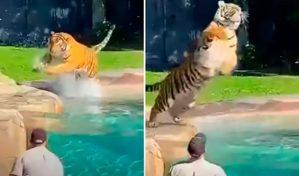 El video ha sido compartido en el canal Planet Teik. Foto: captura de YouTube El video ha sido compartido en el canal Planet Teik. Foto: captura de YouTube