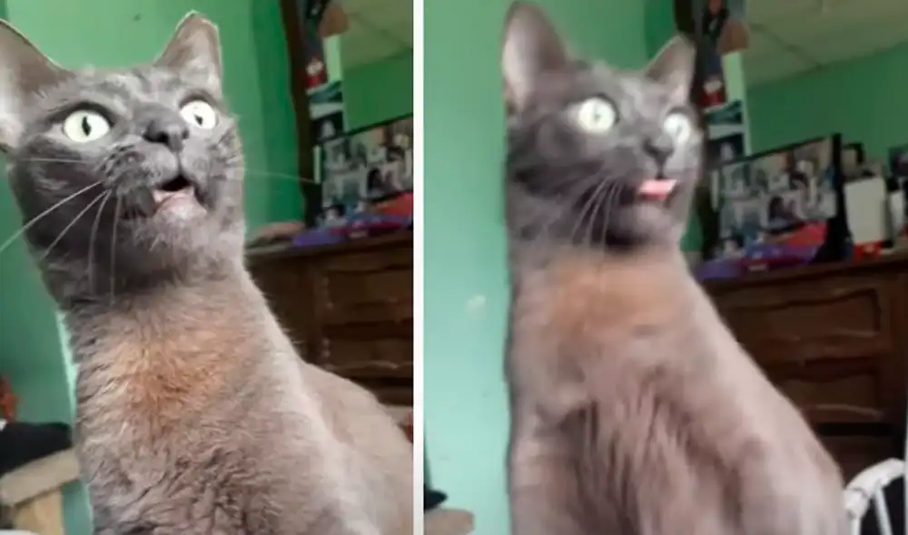 El video viral ha causado gran sensación en las redes sociales. Foto: captura de Facebook