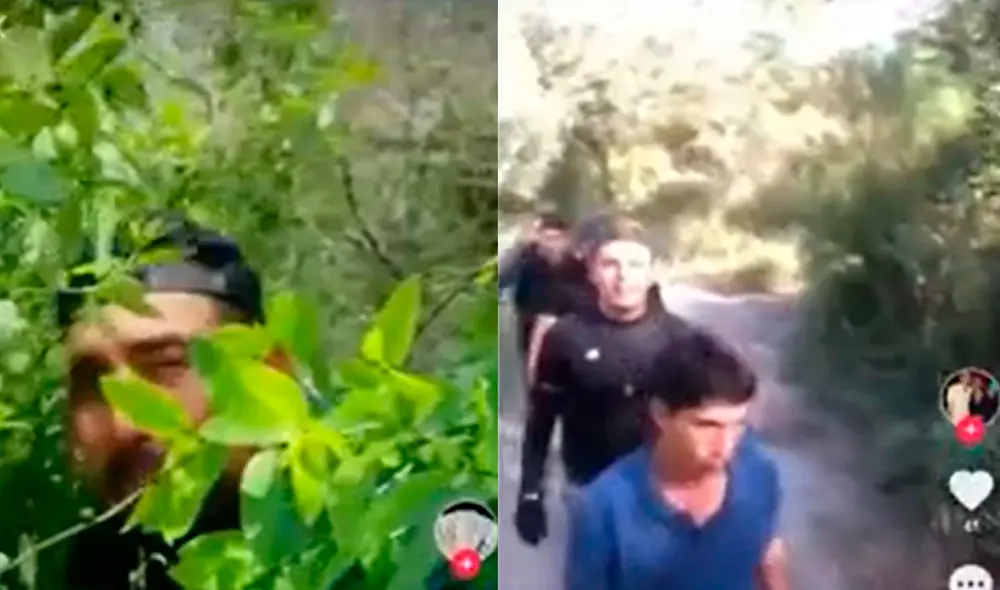 'Coyotes' muestran sus rutas y tácticas para llegar a la frontera de EE. UU. por TikTok Foto: captura video/Telemundo