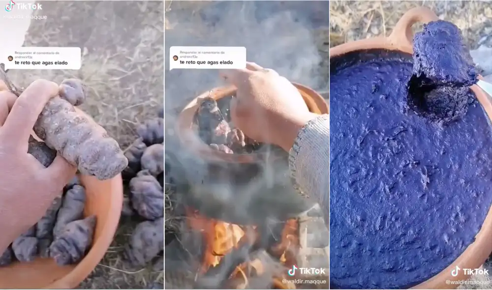 Utilizando muy pocos ingredientes y sin emplear ninguna máquina, este muchacho creo su propio helado 100% artesanal.  Foto: captura de video de TikTok