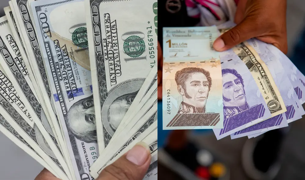 Conoce el precio del dólar en Venezuela hoy, domingo 10 de octubre, según Dólar Monitor y DolarToday. Foto: composición GLR / EFE