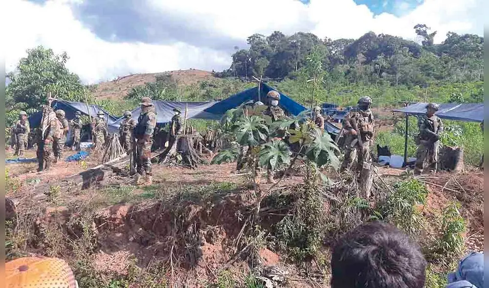 Erradicación de coca.