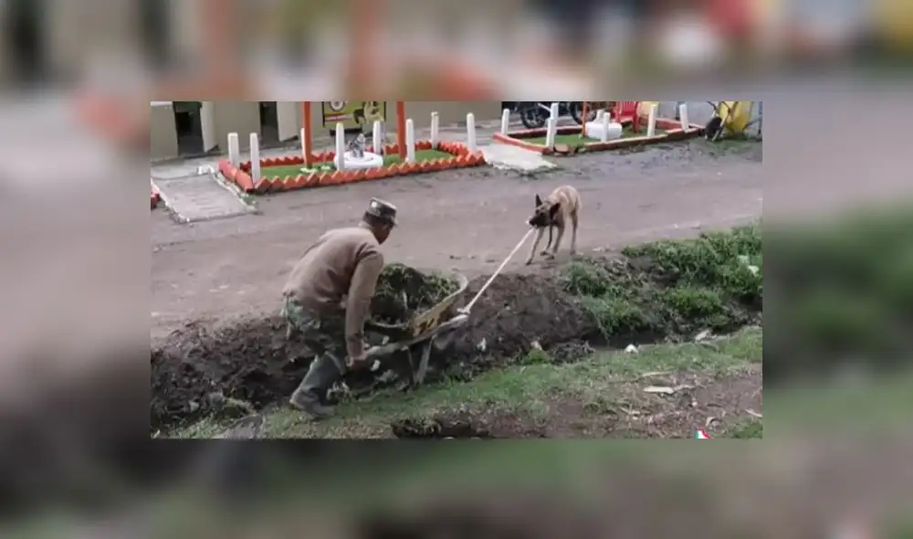 La tierna escena es viral en redes sociales. Foto: captura de TikTok
