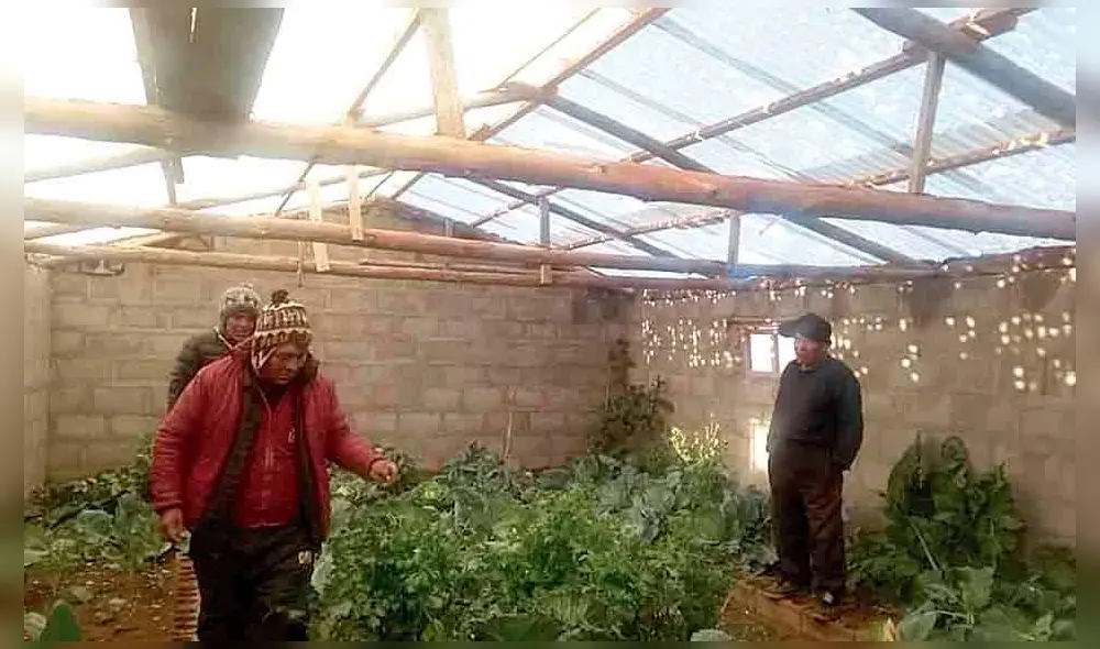 Daños. Granizada destrozó techos de huertos en Puno. Daños. Granizada destrozó techos de huertos en Puno.