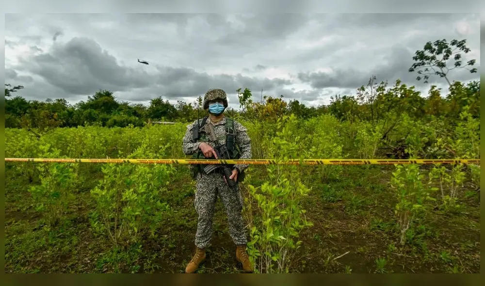 Un soldado de Colombia vigila una plantación de coca el 30 de diciembre de 2020. Foto: AFP Un soldado de Colombia vigila una plantación de coca el 30 de diciembre de 2020. Foto: AFP