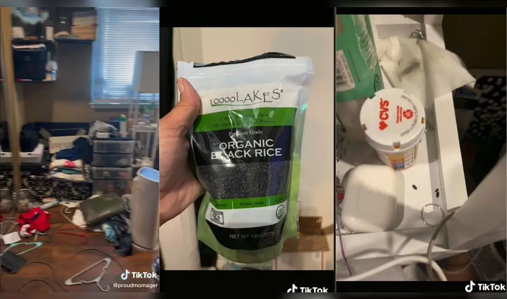 La madre tuvo que explicarle a su hija lo que hizo, ya que tenía miedo de que roedores rondaran por su habitación. Foto: captura de TikTok