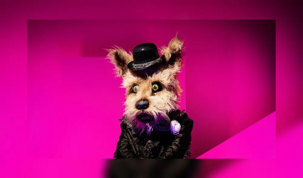 'Perro' es un personaje adorable y tú podrás averiguar quién es viendo el programa de Televisa. Foto: Televisa.