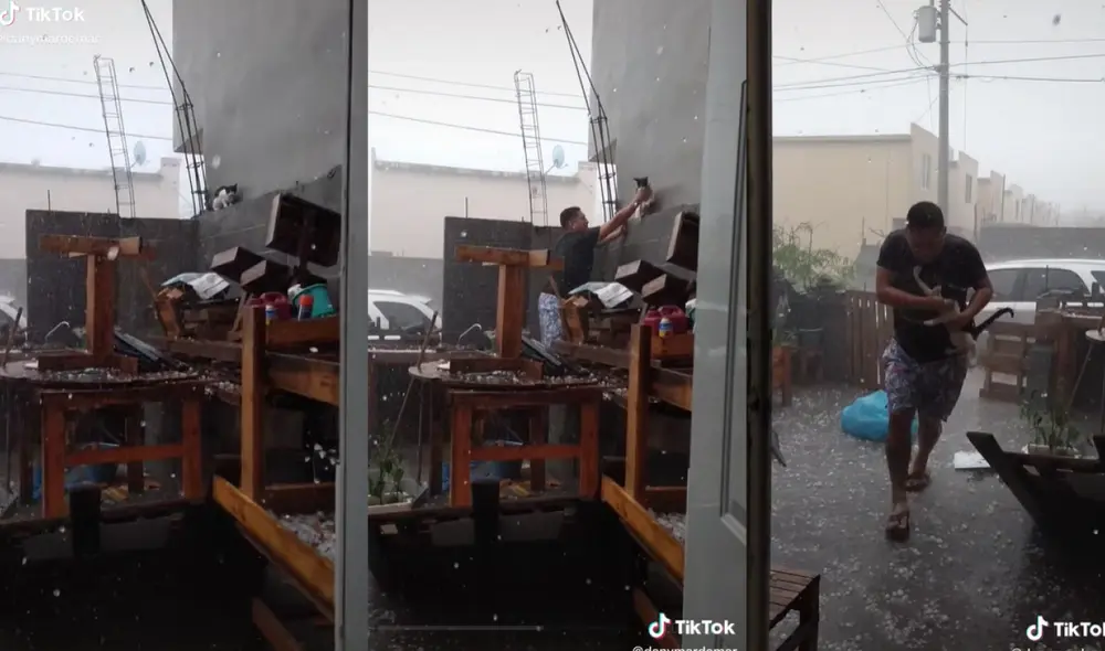 El gatito se encontraba en una pared hasta que logró ser rescatado por un joven que observó que se encontraba en peligro. Foto: captura de TikTok