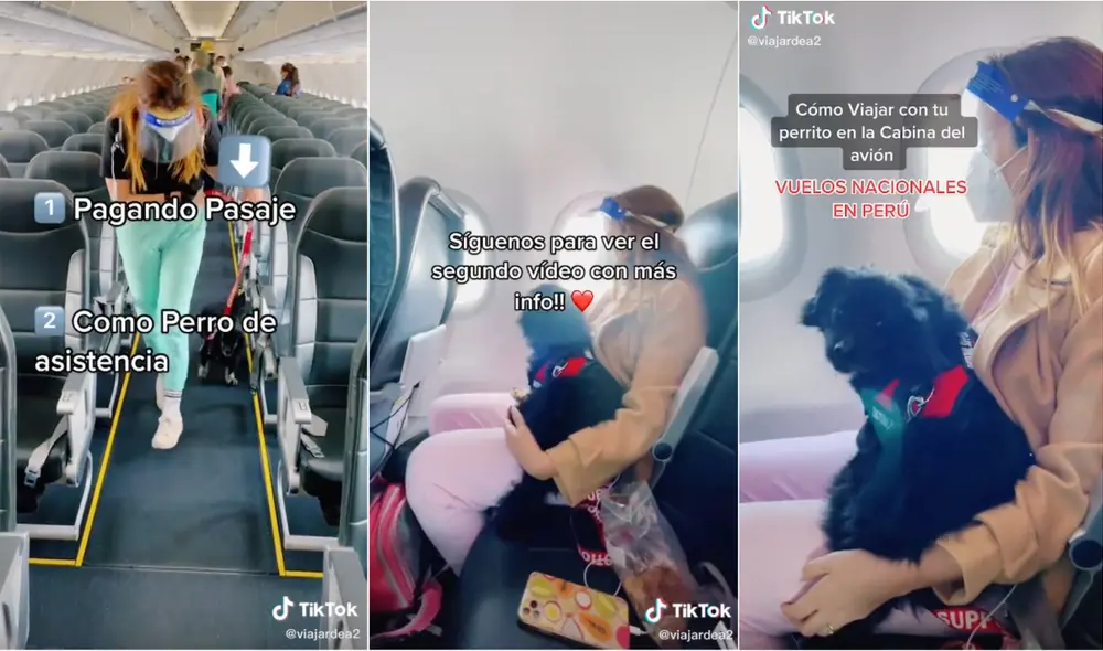 Según contó la tiktoker, en Perú existen dos opciones: la primera es pagando pasaje y la segunda como can de asistencia. Foto: captura de video de TikTok Según contó la tiktoker, en Perú existen dos opciones: la primera es pagando pasaje y la segunda como can de asistencia. Foto: captura de video de TikTok