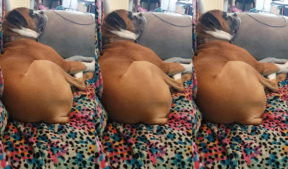 Esto sucedió en un hogar ubicado en la ciudad de Floyds Knobs, Indiana, USA. Foto: captura de YouTube