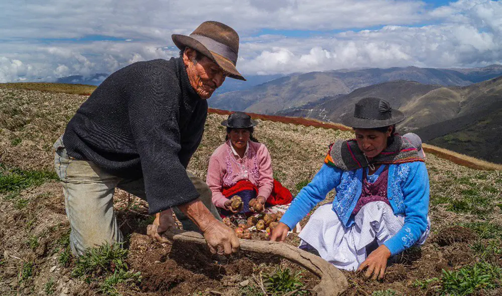 La segunda reforma agraria debería traducirse en cambios estructurales en el sector público. Foto: difusión La segunda reforma agraria debería traducirse en cambios estructurales en el sector público. Foto: difusión