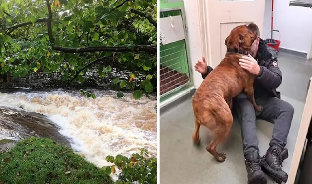 En el día de su cumpleaños, un hombre recibió una buena noticia sobre la aparición de su querida mascota luego de que fuera arrastrada por un río. Foto: Triangle News/ Facebook En el día de su cumpleaños, un hombre recibió una buena noticia sobre la aparición de su querida mascota luego de que fuera arrastrada por un río. Foto: Triangle News/ Facebook