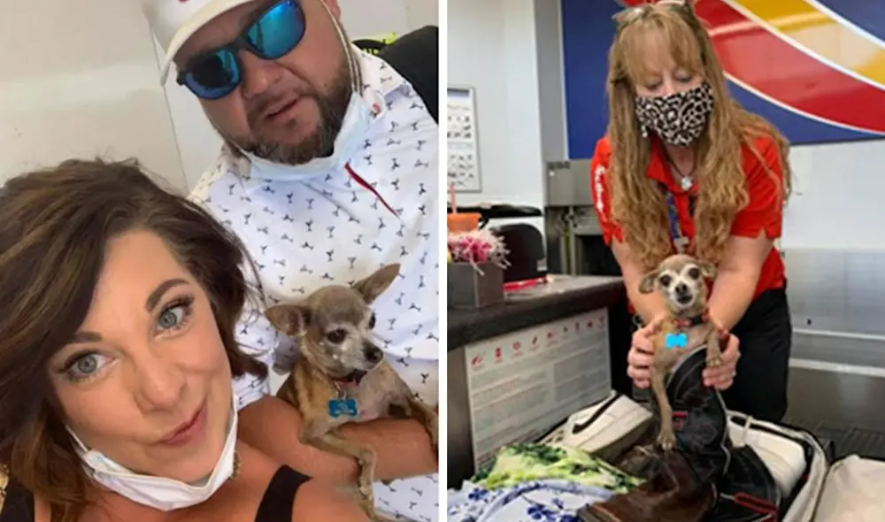 Una pareja pasó un control en el aeropuerto porque su equipaje tenía sobrepeso; sin embargo, jamás imaginaron que la razón se debía a su perrita. Foto: Jared Owens/ Facebook Una pareja pasó un control en el aeropuerto porque su equipaje tenía sobrepeso; sin embargo, jamás imaginaron que la razón se debía a su perrita. Foto: Jared Owens/ Facebook