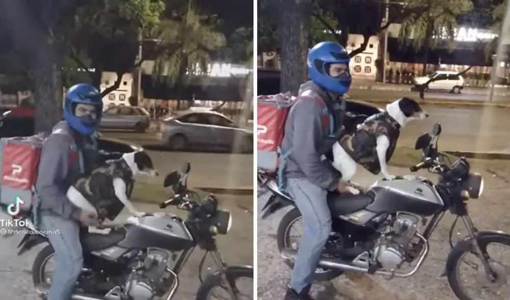 Miles de usuarios quedaron cautivados con este perrito y su dueño. Foto: captura de YouTube