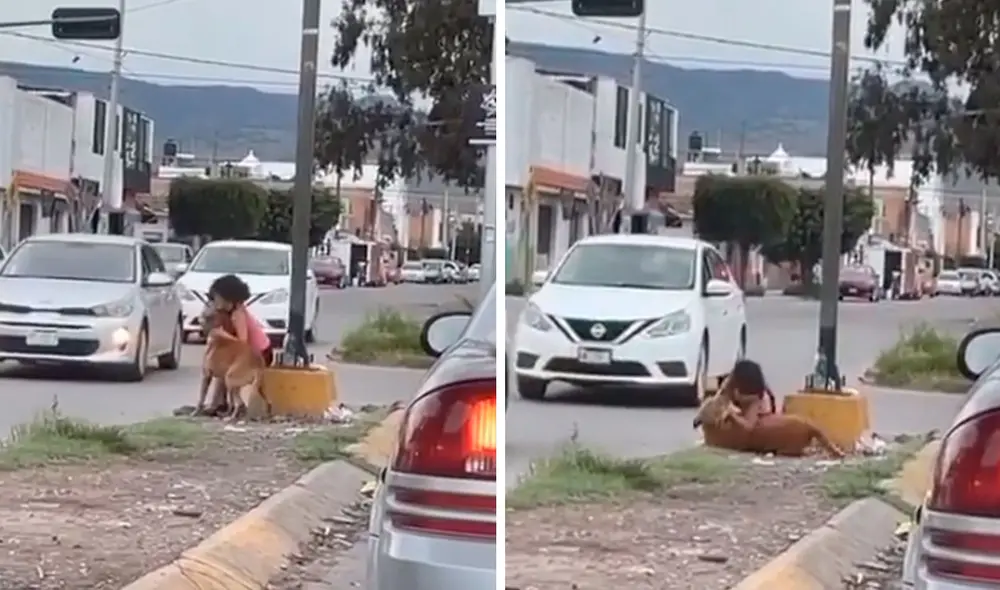 Un conductor captó el preciso momento en que una niña rodeó con sus brazos a su querida mascota para demostrarle su amor mientras esperaban para cruzar. Foto: captura de Facebook