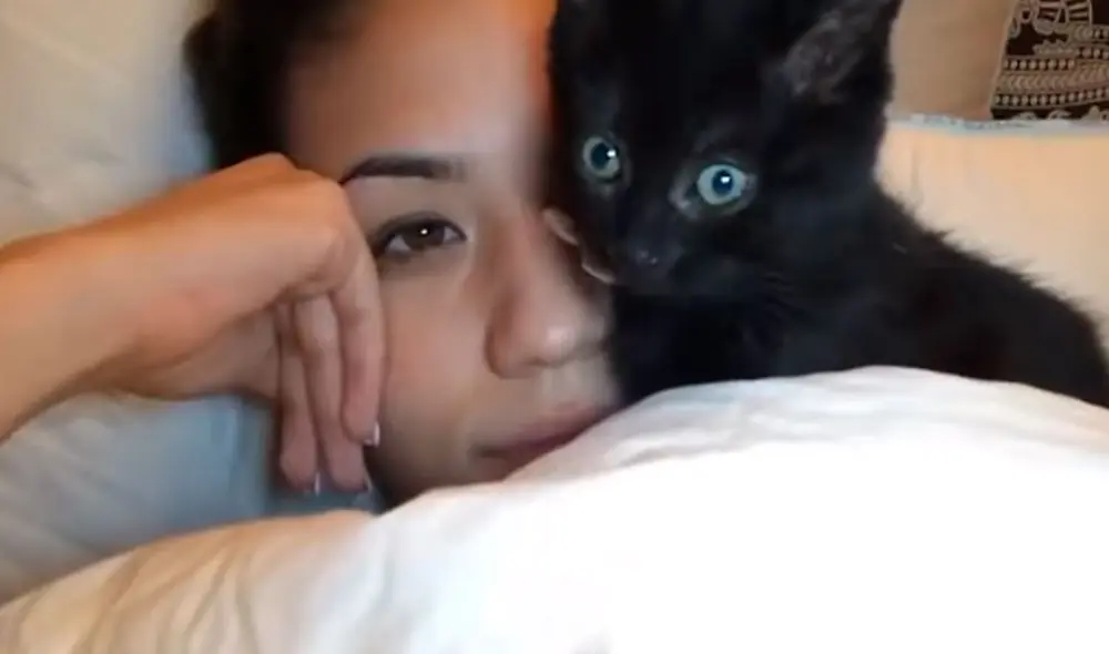 Una joven adoptó a un pequeño felino que quedó huérfano y le brindó las mejores atenciones para ganarse su confianza. Foto: captura de Facebook Una joven adoptó a un pequeño felino que quedó huérfano y le brindó las mejores atenciones para ganarse su confianza. Foto: captura de Facebook