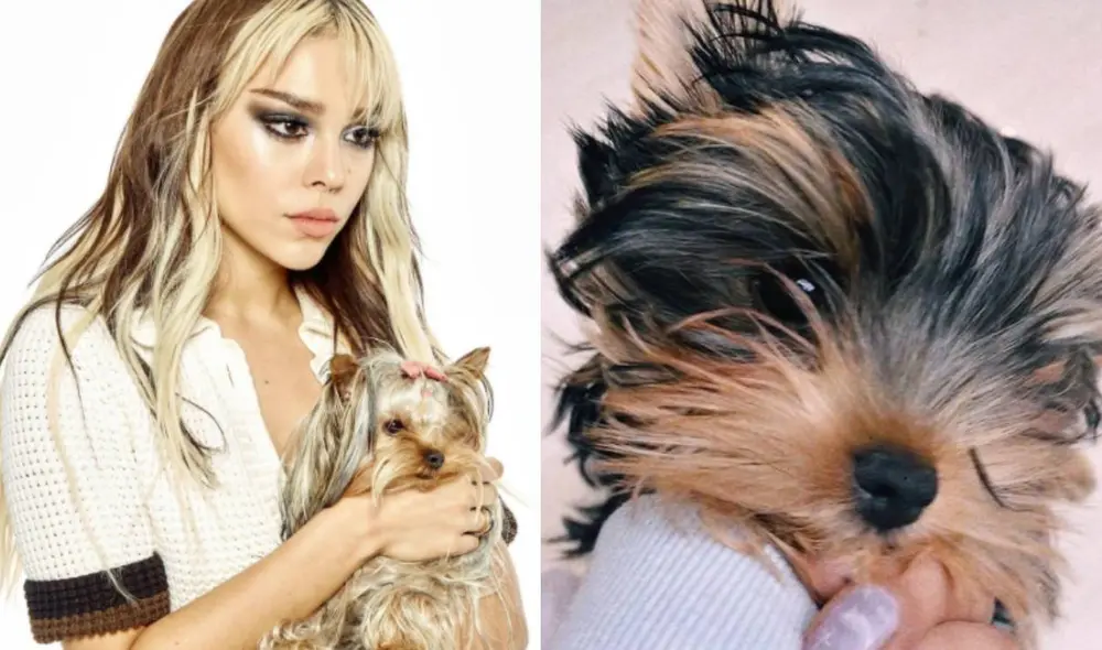 Danna Paola pide a sus seguidores que oren por su mascota. Foto: Instagram
