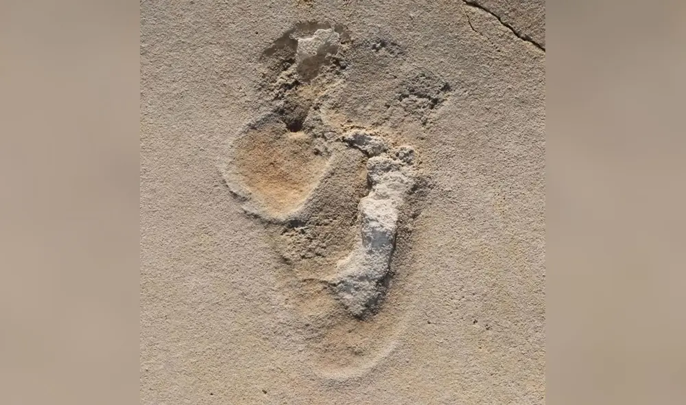 Una de las 50 huellas prehumanas halladas cerca de Trachilos, Creta. Foto: Kirscher et al Una de las 50 huellas prehumanas halladas cerca de Trachilos, Creta. Foto: Kirscher et al