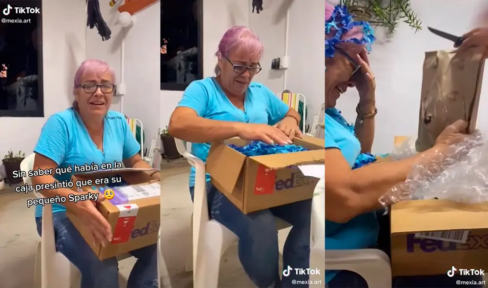 La mujer no pudo contener sus emociones al recordar a la que fue su adorada mascota. Foto: captura de TikTok