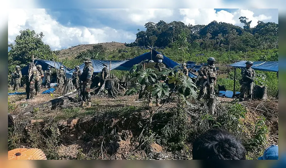 Sin tregua. Megaoperativo de erradicación de hoja de coca se realiza en eje central del Valle de San Gabán. Foto: La República
