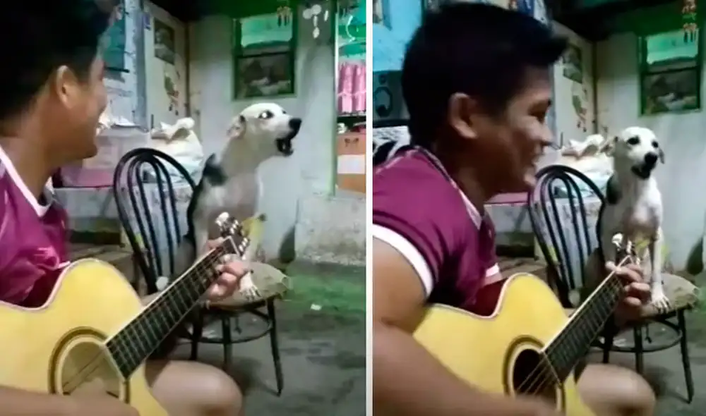 El video ha sido compartido en el canal ViralHog. Foto: captura de Facebook El video ha sido compartido en el canal ViralHog. Foto: captura de Facebook