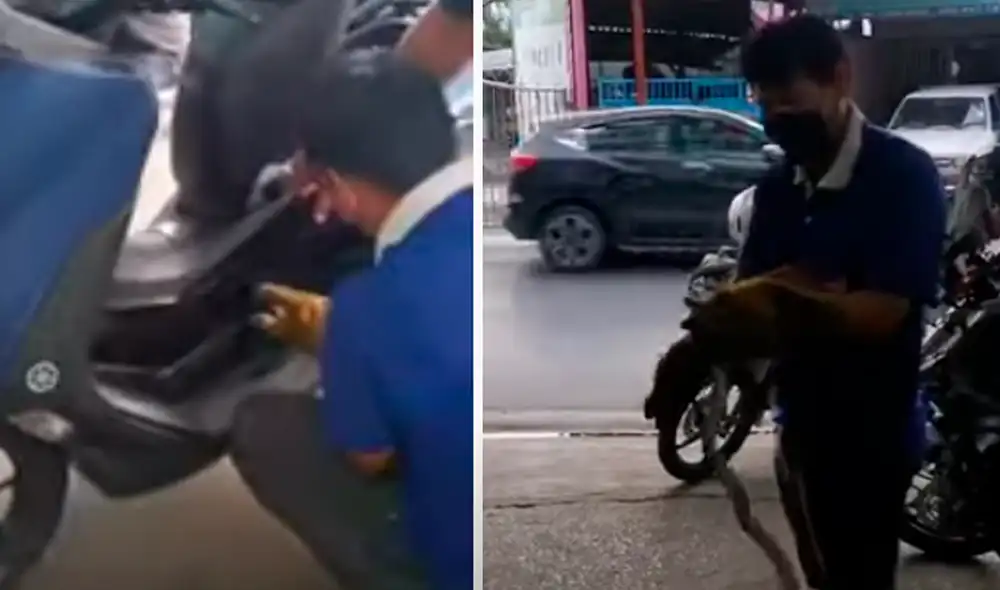 El video ha sido compartido en el canal Viral Press. Foto: captura de YouTube