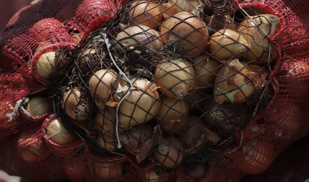 Crisis internacional de fertilizantes. Conveagro calcula en 2,2 millones las familias de agricultores perjudicadas, pero luego afectará a toda la población. Foto: La República