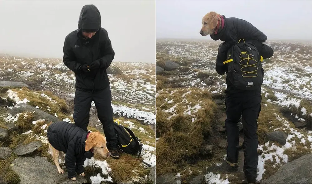 Una pareja de médicos se topó con la can cuando visitaban la zona aprovechando su día libre. Foto: Jean Francois Bonnet Una pareja de médicos se topó con la can cuando visitaban la zona aprovechando su día libre. Foto: Jean Francois Bonnet