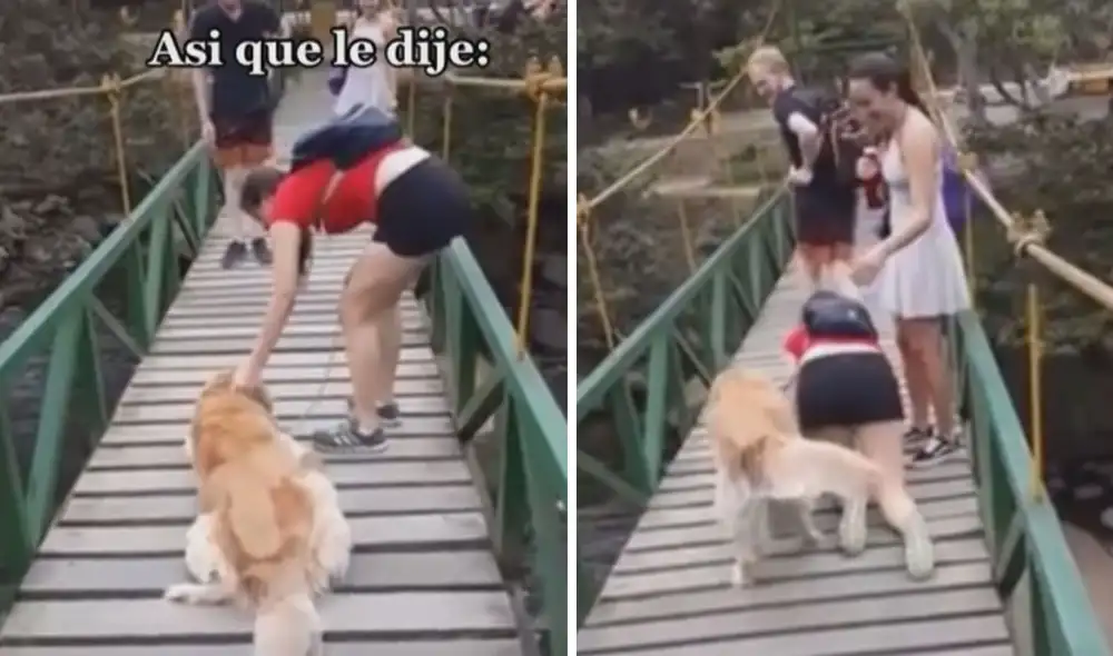 Las personas que venían detrás de ellos no pudieron dejar pasar la oportunidad y capturaron este tierno momento en un video que ya se ha vuelto viral en las redes sociales. Foto: captura de TikTok