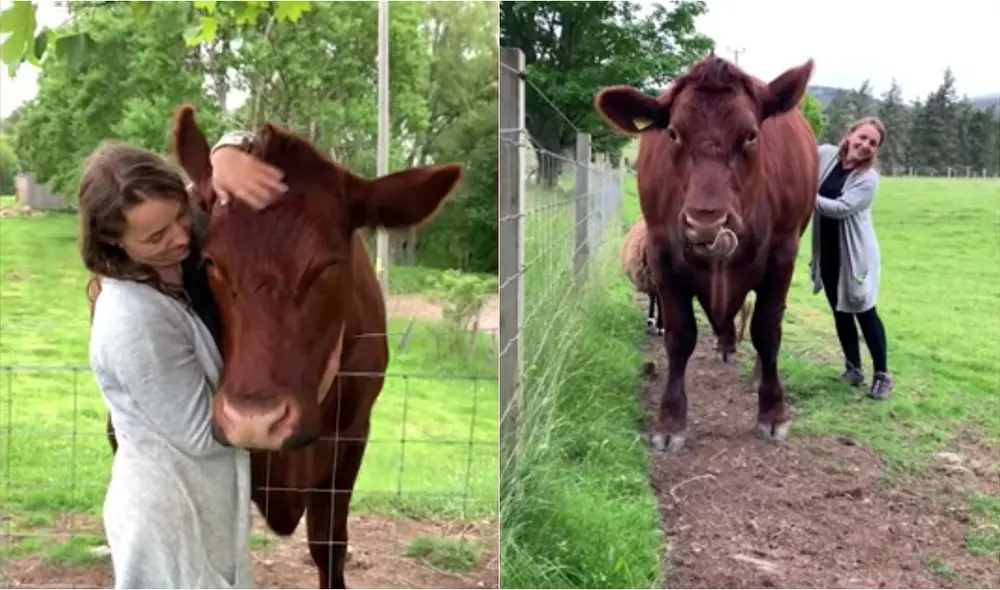 La historia inició cuando ella gastó todos sus ahorros para evitar que el animal fuera sacrificado. Foto: Knightpics / Caters
