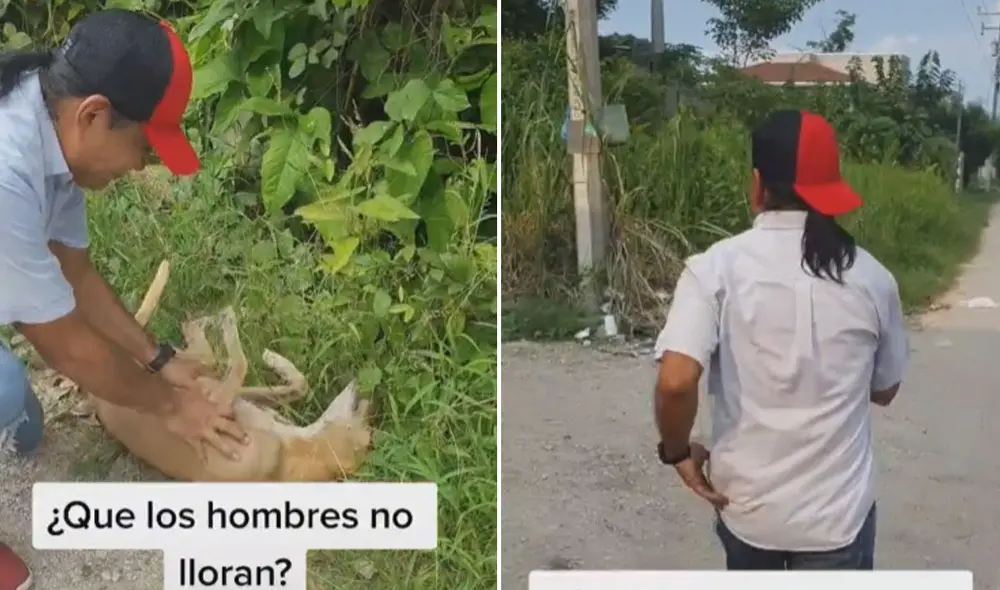 Miles de usuarios quedaron conmovidos al conocer esta historia. Foto: captura de TikTok