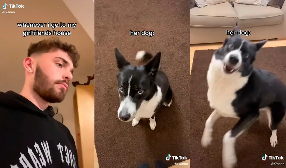 El can logró cautivar al sujeto con su dulce actuación al reconocerlo. Foto: captura de TikTok