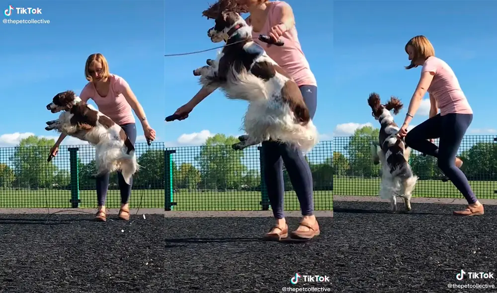 La dupla conmovió a sus seguidores con su tierna dinámica de juego. Foto: captura de TikTok