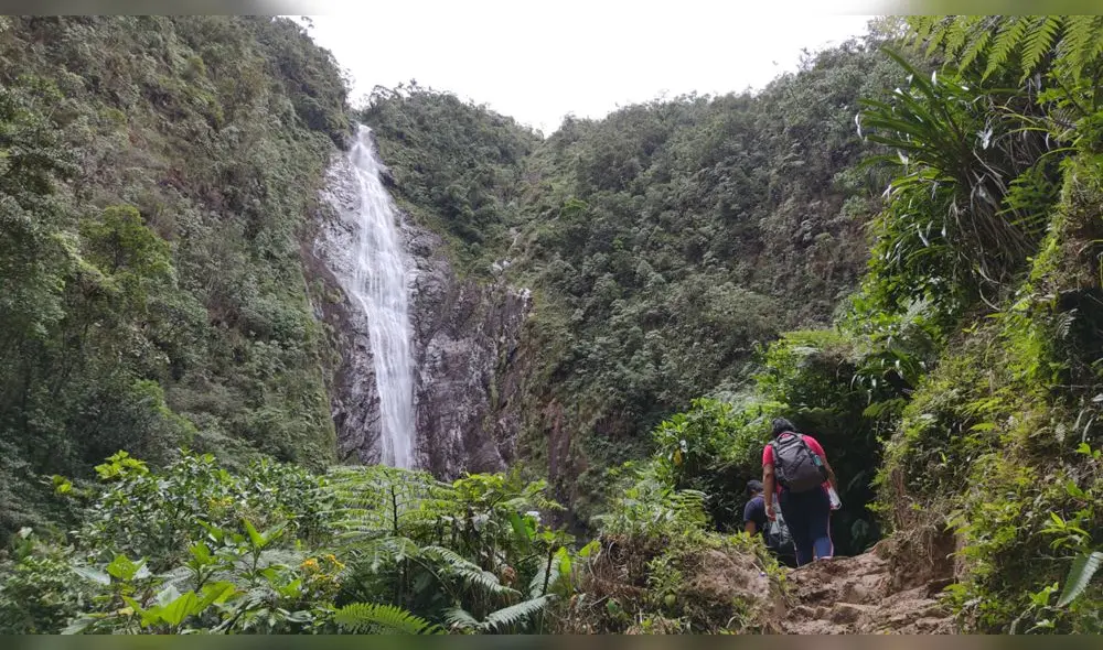La catarata Velo de Plata es una de la más altas de la región San Martín. Foto: Goresam. La catarata Velo de Plata es una de la más altas de la región San Martín. Foto: Goresam.