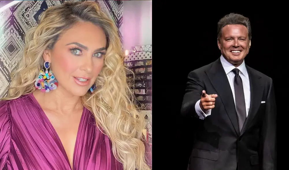 La actriz mexicana tuvo un forcejeo con la prensa en Los Ángeles el fin de semana pasado, al intentar fotografiar al menor hijo que tuvo con Luis Miguel. Foto: Aracely Arámbula/Luis Miguel captura/ Instagram