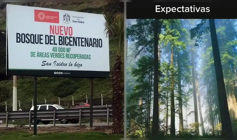 Un clip muestra lo que un joven esperaba encontrar al visitar las nuevas áreas verdes de la Costa Verde. Foto: Captura de TikTok
