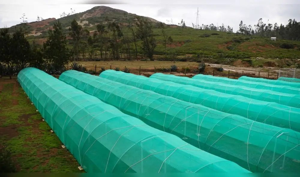 PEOT construyó vivero forestal en el distrito de Sexi, provincia de Santa Cruz. Foto: PEOT PEOT construyó vivero forestal en el distrito de Sexi, provincia de Santa Cruz. Foto: PEOT