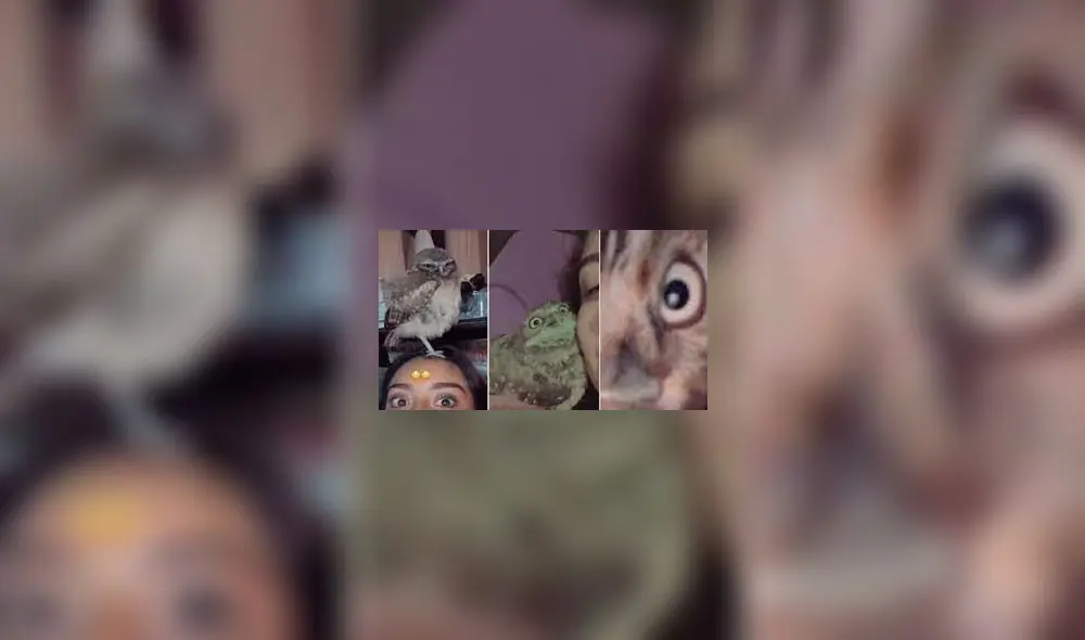 Foto: captura de TikTok