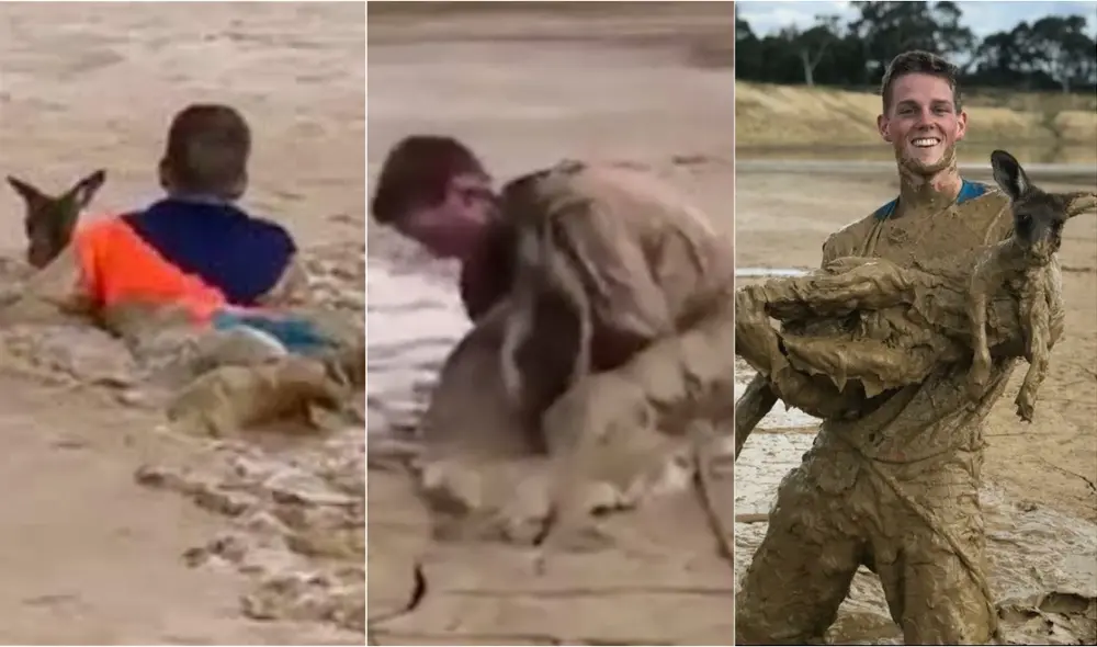 Los hechos se registraron cerca de Sidney, en Australia, cuando los jóvenes que iban en moto se percataron de la emergencia.  Foto: capturas de video Rumble/Nick Heath