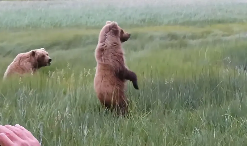 La persona que grabó se encontraba con dos compañeros que se dedicaron a tomar fotos. Foto: captura de YouTube La persona que grabó se encontraba con dos compañeros que se dedicaron a tomar fotos. Foto: captura de YouTube