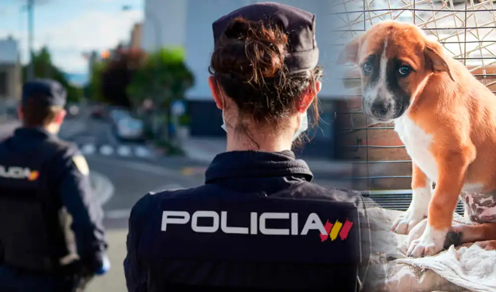 Dos policías, un oficial y una agente, aseguran que lo ocurre "una injusticia", en su centro de trabajo debido a su labor rescatando animales. Foto: composición/Policía España-Pets Life Dos policías, un oficial y una agente, aseguran que lo ocurre "una injusticia", en su centro de trabajo debido a su labor rescatando animales. Foto: composición/Policía España-Pets Life